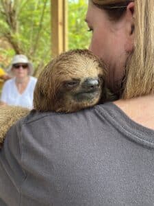 Diane Ferreira holding a baby sloth