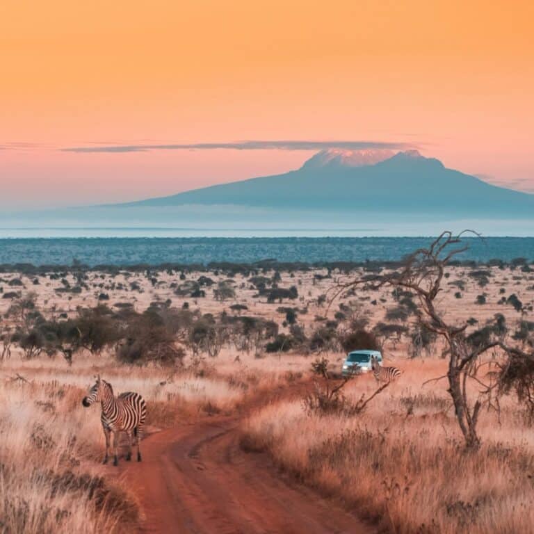 Zebra stands on a dirt road in front of a safari vehicle and Mount Kilimanjaro at sunset.